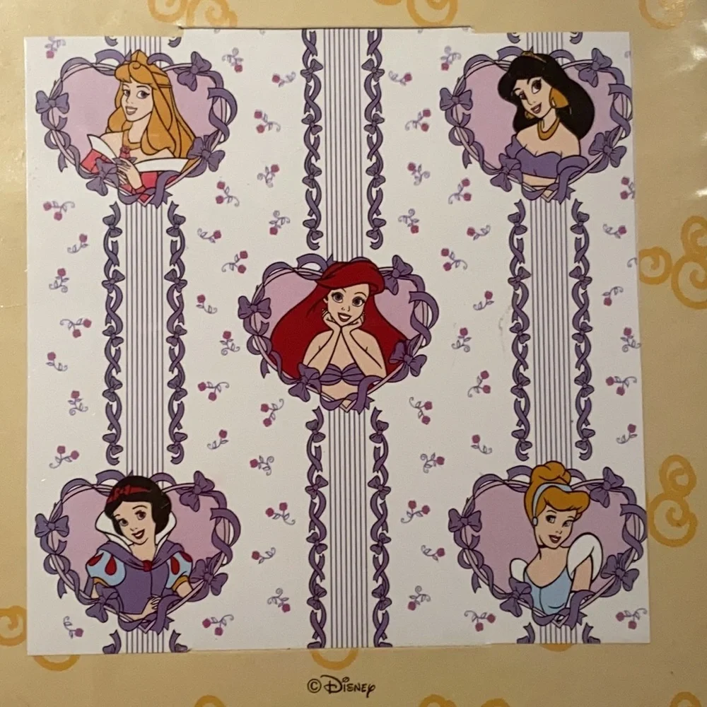 Disney princess vinyl shower curtain 72“ x 72“ Aurora SnowWhite Cinderella Ariel